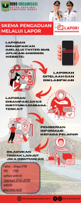 Infografis SP4N LAPOR!